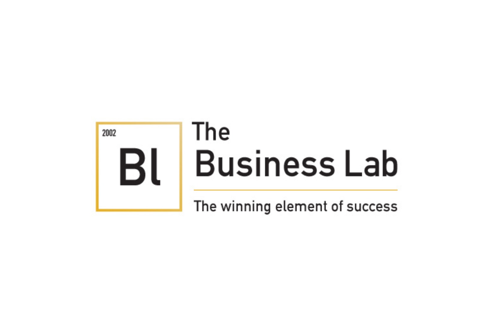 The Business Lab