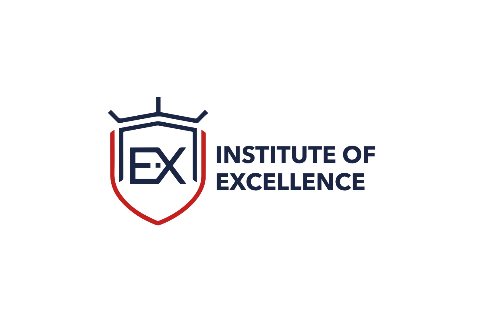 Institute of Excellence